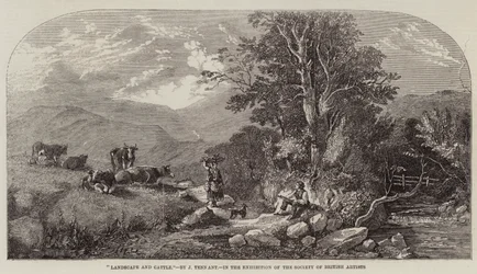 Landscape and Cattle